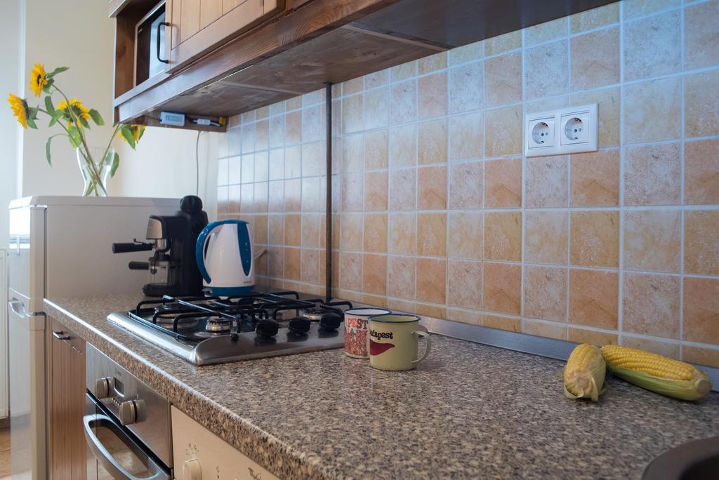 Friendly Home In The Center Budapeszt Zewnętrze zdjęcie